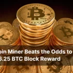 solo-bitcoin-miner-beats-the-odds-to-win-6.25-btc-block-reward